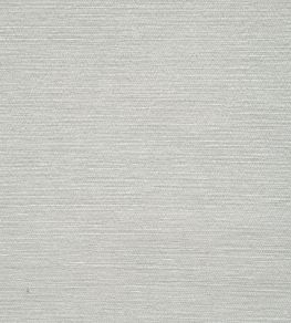 Surfrider Wallpaper by Thibaut Light Grey