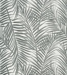 West Palm Wallpaper by Thibaut Black/White