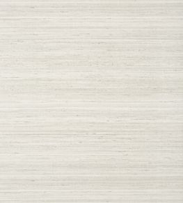 Wild Silk Wallpaper by Thibaut Grey