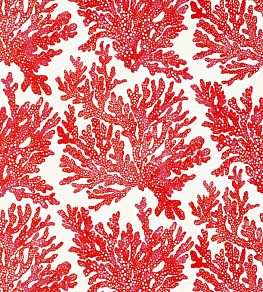 Marine Coral Wallpaper by Thibaut Coral