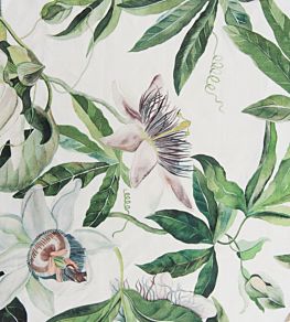 Passion Flower Fabric by Titley And Marr Summer