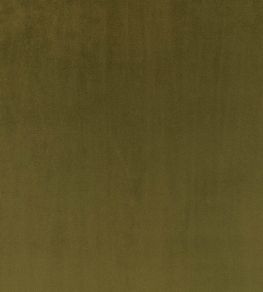 Todd Fabric by Zinc Colibri