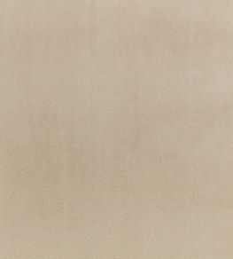 Todd Fabric by Zinc Linen
