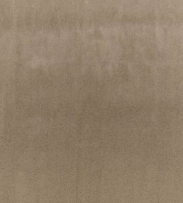 Todd Fabric by Zinc Putty