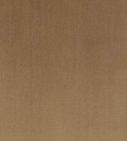 Todd Fabric by Zinc Truffle