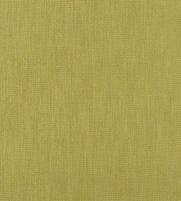 Tortona Fabric by Designers Guild Alchemilla