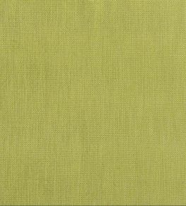 Tortona Fabric by Designers Guild Leaf