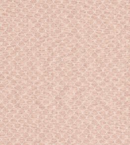 Trelica Fabric by Clarke & Clarke Blush