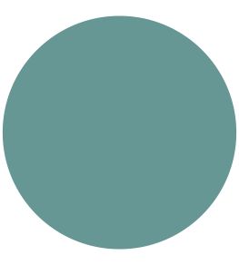 Tropical Palm Water-Based Eggshell Paint by Sanderson Tropical Palm