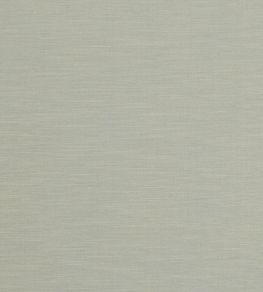 Tussah Fabric by Clarke & Clarke Mineral