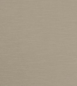 Tussah Fabric by Clarke & Clarke Raffia