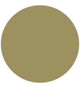 Twining Vine Chalky Matt Paint by Morris & Co Twining Vine