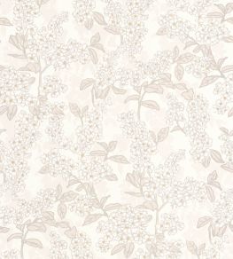 Ume Wallpaper by Casadeco Blanc Cotton