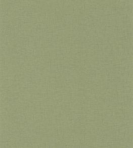 Uni Gaze Wallpaper by Caselio Vert Olive