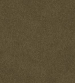 Vaquero Fabric by Warwick Racing