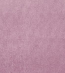 Velour Fabric by Prestigious Textiles Orchid
