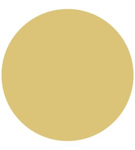 Vermeer Yellow Elite Emulsion Paint by Zoffany Vermeer Yellow