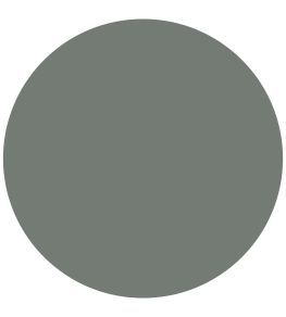 Vineyard Active Emulsion Paint by Sanderson Vineyard