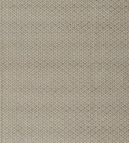 Paley Fabric by Warwick Lichen