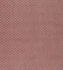 Paley Fabric by Warwick Rose