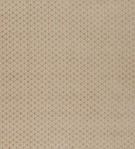 Paley Fabric by Warwick Trench
