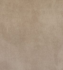 Lovely Fabric by Warwick Champagne