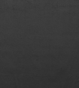 Mystere Fabric by Warwick COAL