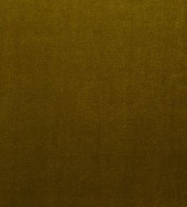 Mystere Fabric by Warwick GRASS