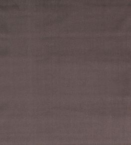 Mystere Fabric by Warwick MINK