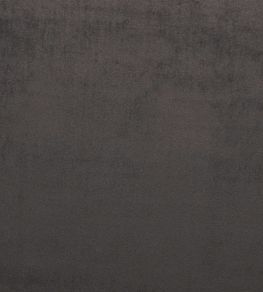 Mystere Fabric by Warwick MOLE
