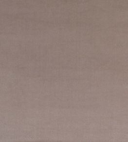 Mystere Fabric by Warwick PUMICE