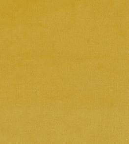 Plush Velvet FR Fabric by Warwick Daffodil