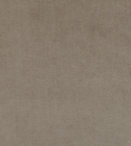 Plush Velvet Fabric by Warwick Elephant