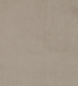Plush Velvet Fabric by Warwick Fog