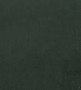Plush Velvet Fabric by Warwick Hunter