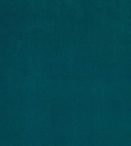 Plush Velvet Fabric by Warwick Mallard