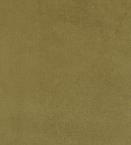 Plush Velvet FR Fabric by Warwick Moss