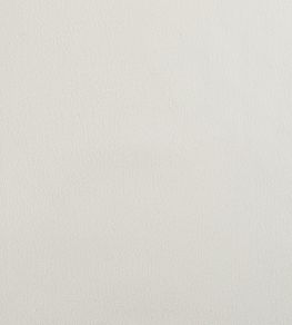 Plush Velvet FR Fabric by Warwick Optique