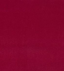 Plush Velvet Fabric by Warwick Shiraz