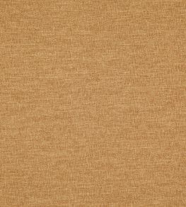 Splash Fabric by Warwick PUMPKIN