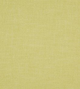Braemar Fabric by Wemyss Pistachio
