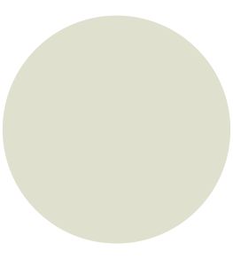 White Willow Active Emulsion Paint by Sanderson White Willow