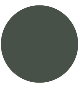 Wooded Dell Chalky Matt Paint by Morris & Co Wooded Dell