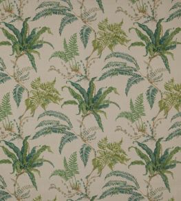 Woodfern Fabric by Colefax and Fowler Forest Green