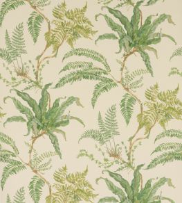 Woodfern Wallpaper by Colefax and Fowler Green
