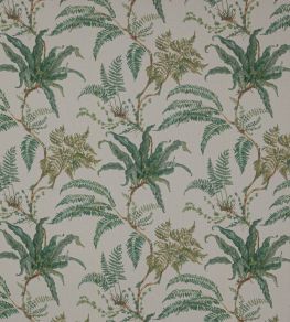 Woodfern Fabric by Colefax and Fowler Leaf Green