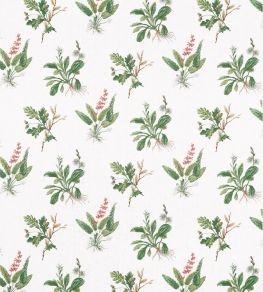 Woodland Fabric by Anna French Green & Blush
