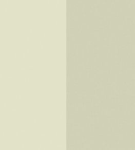 XXL Lines Wallpaper by Caselio Vert Amande