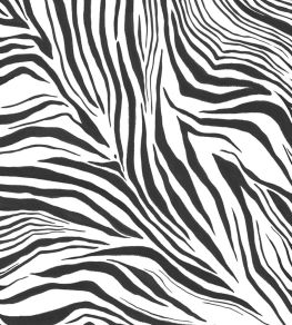 Zebra Mural by Caselio Blanc Noir