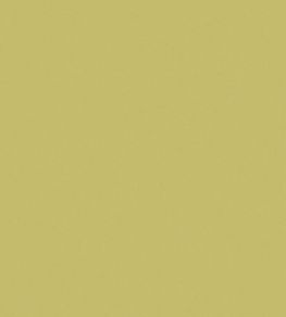 Zion Fabric by Wemyss Citrus